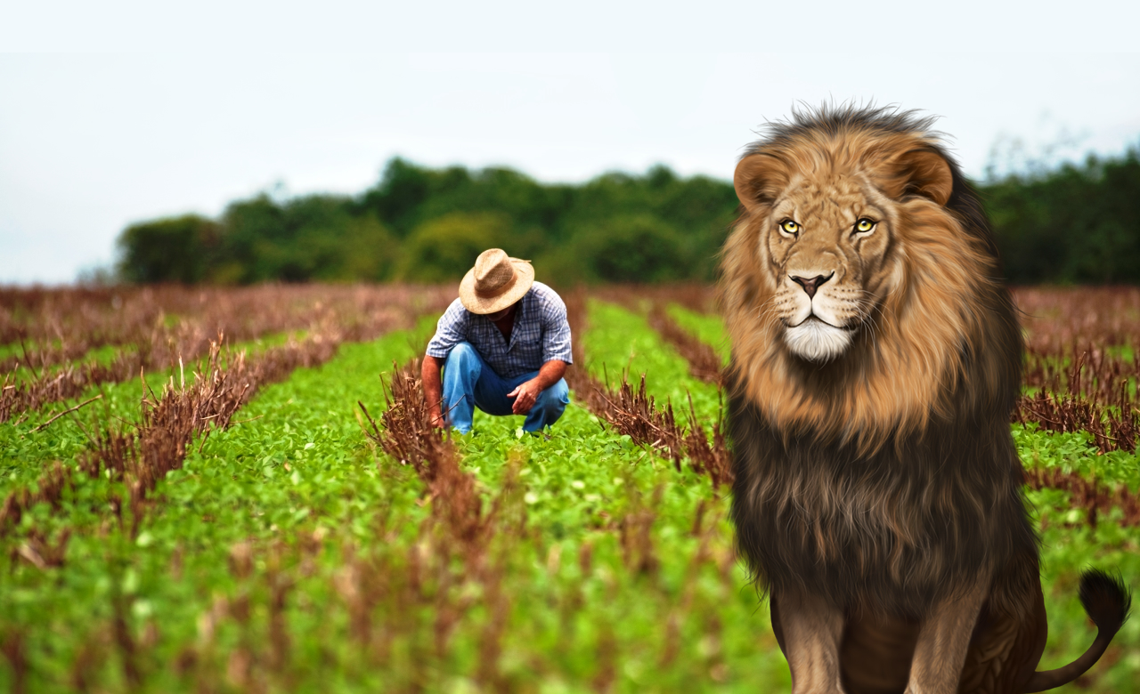 produtor rural - imposto de renda