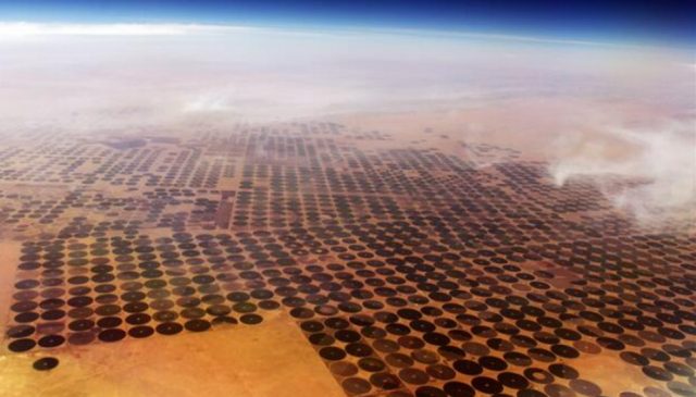 Arabia Saudita