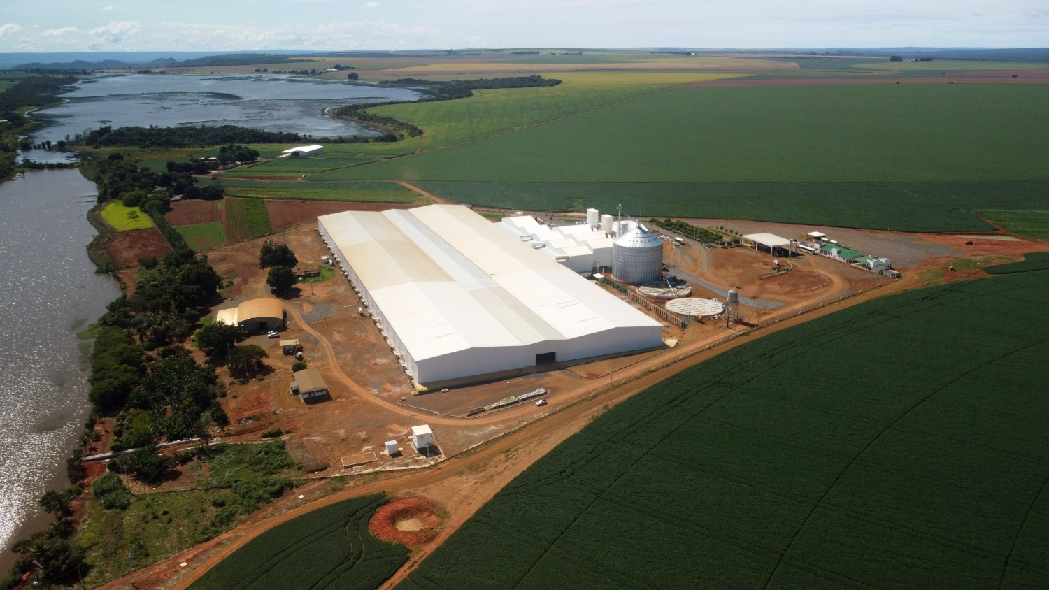 Boa Safra Sementes de soja - planta de Cabeceiras - goias