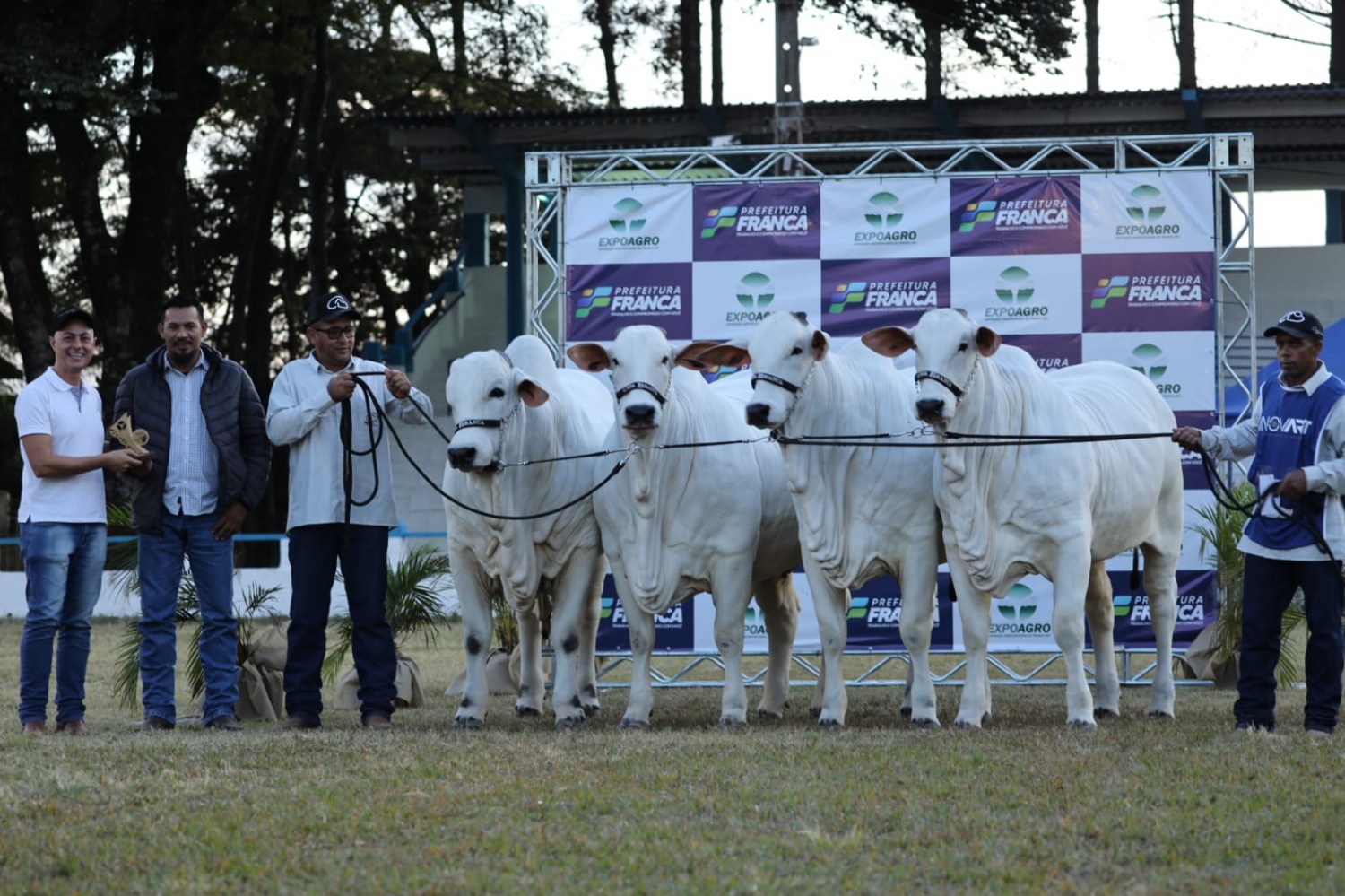 Conj. Progênie de Pai – Kayak TE Mafra - casa-branca-Agropastoril-e-o-Melhor-Expositor-e-Melhor-Expositor-Iniciante-da-Expoagro-Franca-2022-foto-douglas-nascente5