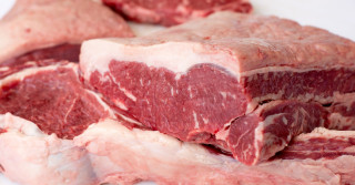 carne bovina -