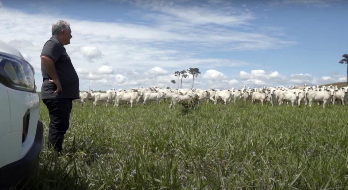 É preciso planejar para chegar no inverno com pastagem de qualidade