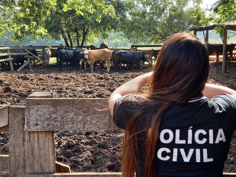 Prefeituras do RS passam a utilizar o AbigeApp: Aplicativo contra abigeato, que agiliza a investigação da segurança pública em furtos de animais do campo