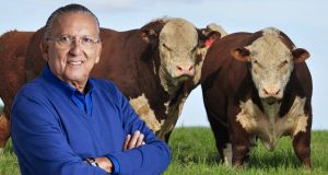 Galvão Bueno celebra retorno a sua velha paixão, a Pecuária - hereford