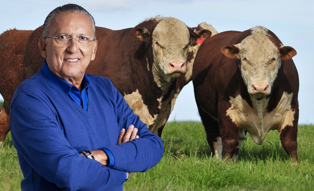 Galvão Bueno celebra retorno a sua velha paixão, a Pecuária - hereford