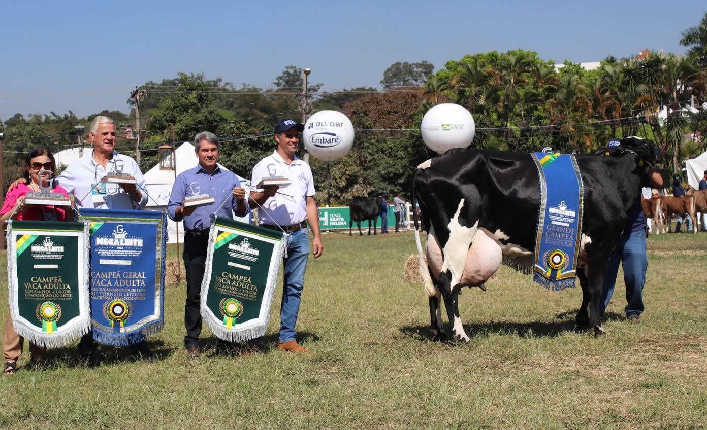 Grande Campeã Produção de Leite do Torneio Leiteiro da Megaleite - Francisca FIV da PEZ