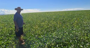 Solo bem equilibrado foi determinante para salvar produtividade da soja na safra 2022