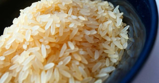 leilão do arroz