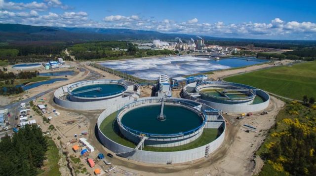planta da ARAUCO planta da ARAUCO