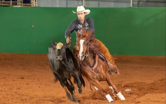 31-Congresso-Brasileiro-do-Quarto-de-Milha-entra-para-a-historia-com-recorde-de-inscritos-workinh-cow-horse