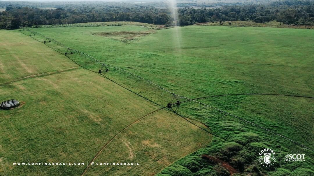 Em Terrenos:MS revisitamos o Confinamento Santa Clara