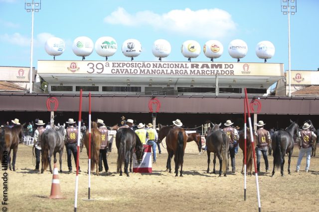 Exposição Nacional Ram do Cavalo Mangalarga Marchador