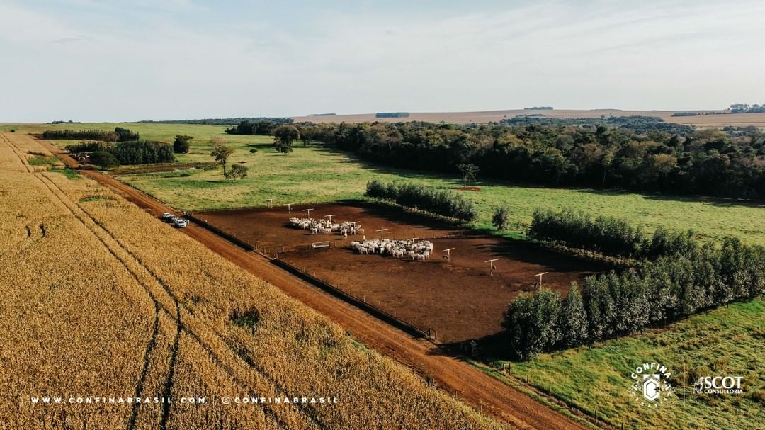 Fazenda Taquaruçu é vizinha de outra propriedade que visitamos em MS - a Estância Maracaju