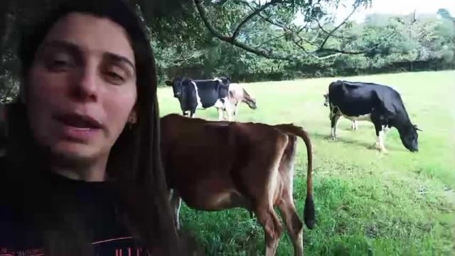 Nilza Menezes - produtora de leite Nilza Menezes - produtora de leite