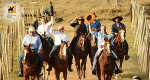 Núcleo Alta Mogiana se destaca pelo trabalho de fomento ao Cavalo Mangalarga em SP 4