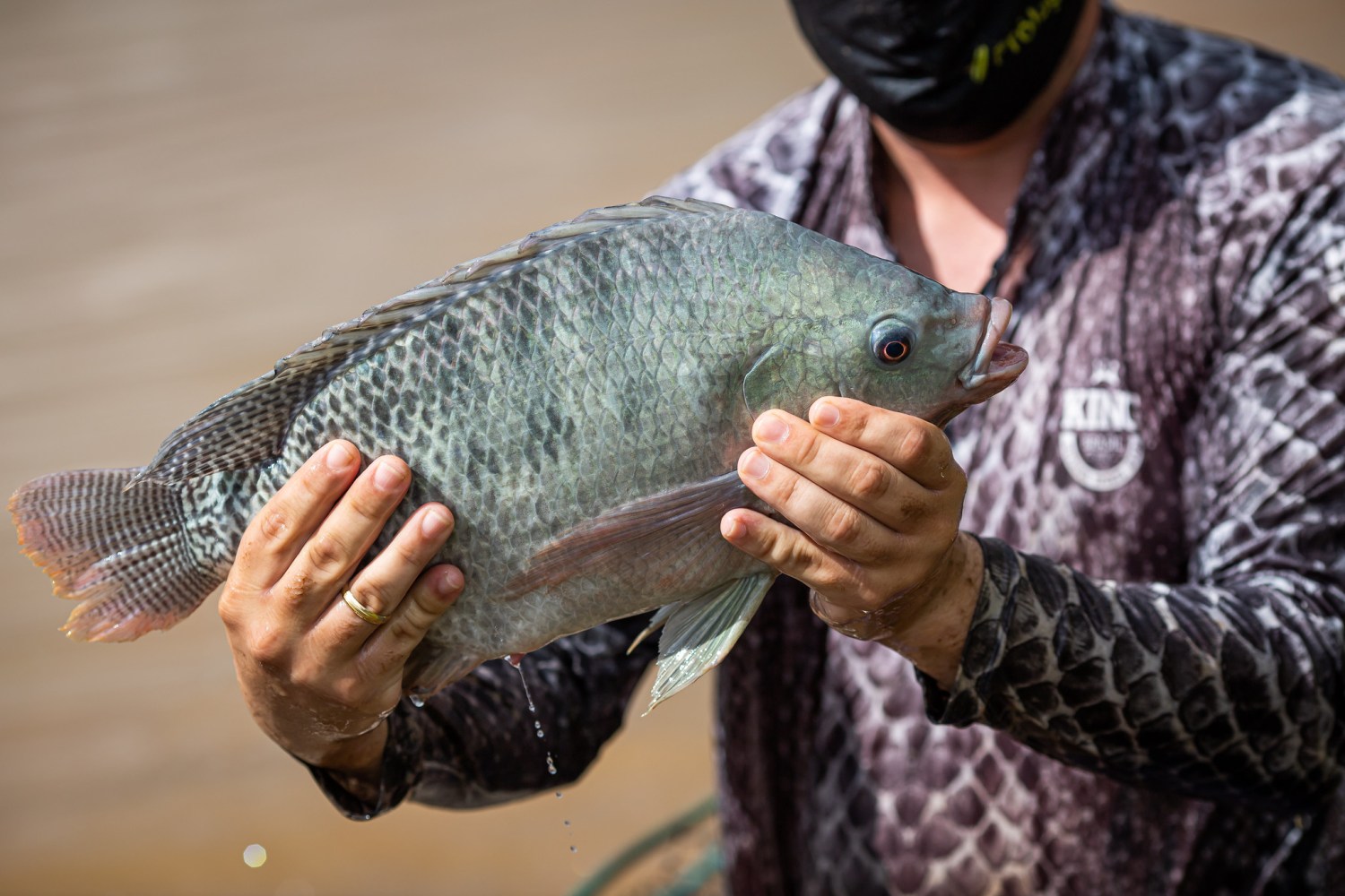 Piscicultura Tilapia - Goiás