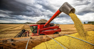Consultoria atualiza previsões das safras de soja e milho para 2023/2024