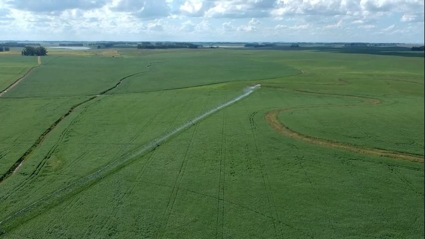 Simpósio debaterá expansão da nova fronteira agrícola gaúcha