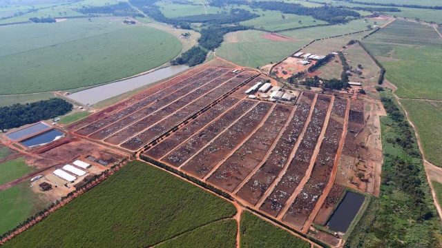 Cia Agropecuária Monte Alegre