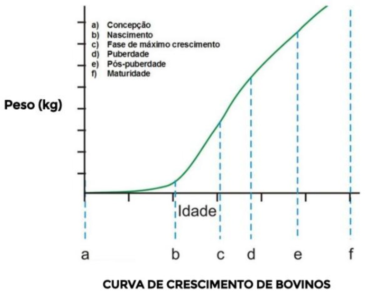 Tabela 1. Comparação entre machos e fêmeas dos diferentes grupos genéticos.