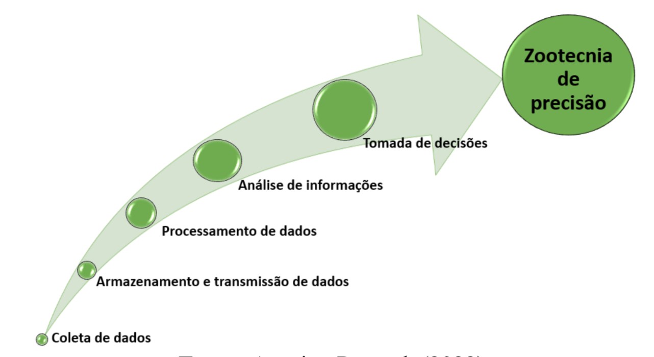 Etapas de um sistema de produção de precisão.