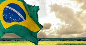 agronegocio brasileiro