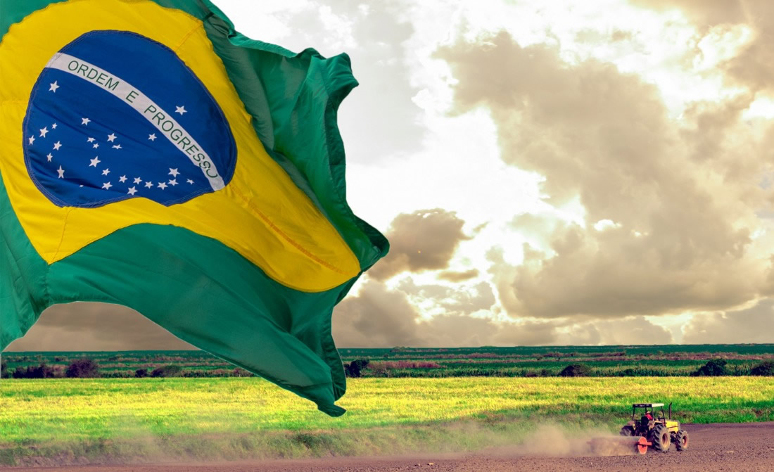 agronegocio brasileiro