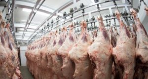 exportação de carne bovina
