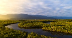 Amazônia: queimadas diminuíram 14% até agosto deste ano na região.