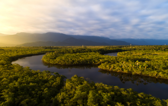 Amazônia: queimadas diminuíram 14% até agosto deste ano na região.