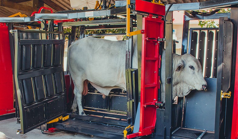 Coimma-Troncos-de-contencao-evoluem-em-bem-estar-animal-facilidade-de-manejo-e-aumento-da-produtividade-na-pecuaria-foto-divulgacao