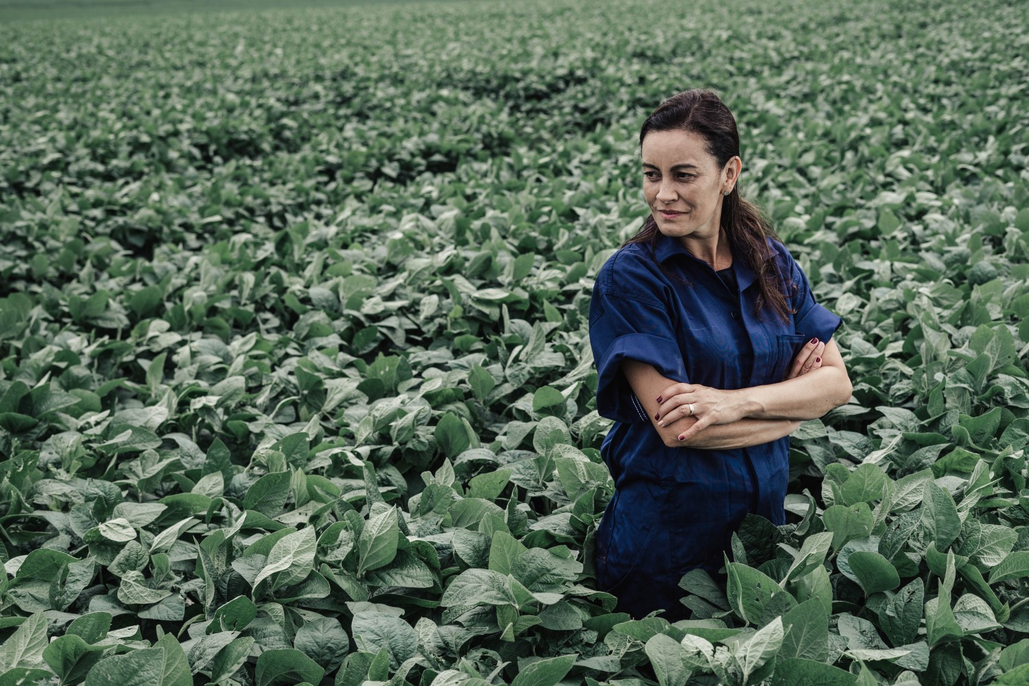 Débora Noordegraaf foi considerada pela Forbes uma das 100 Mulheres Poderosas do Agro