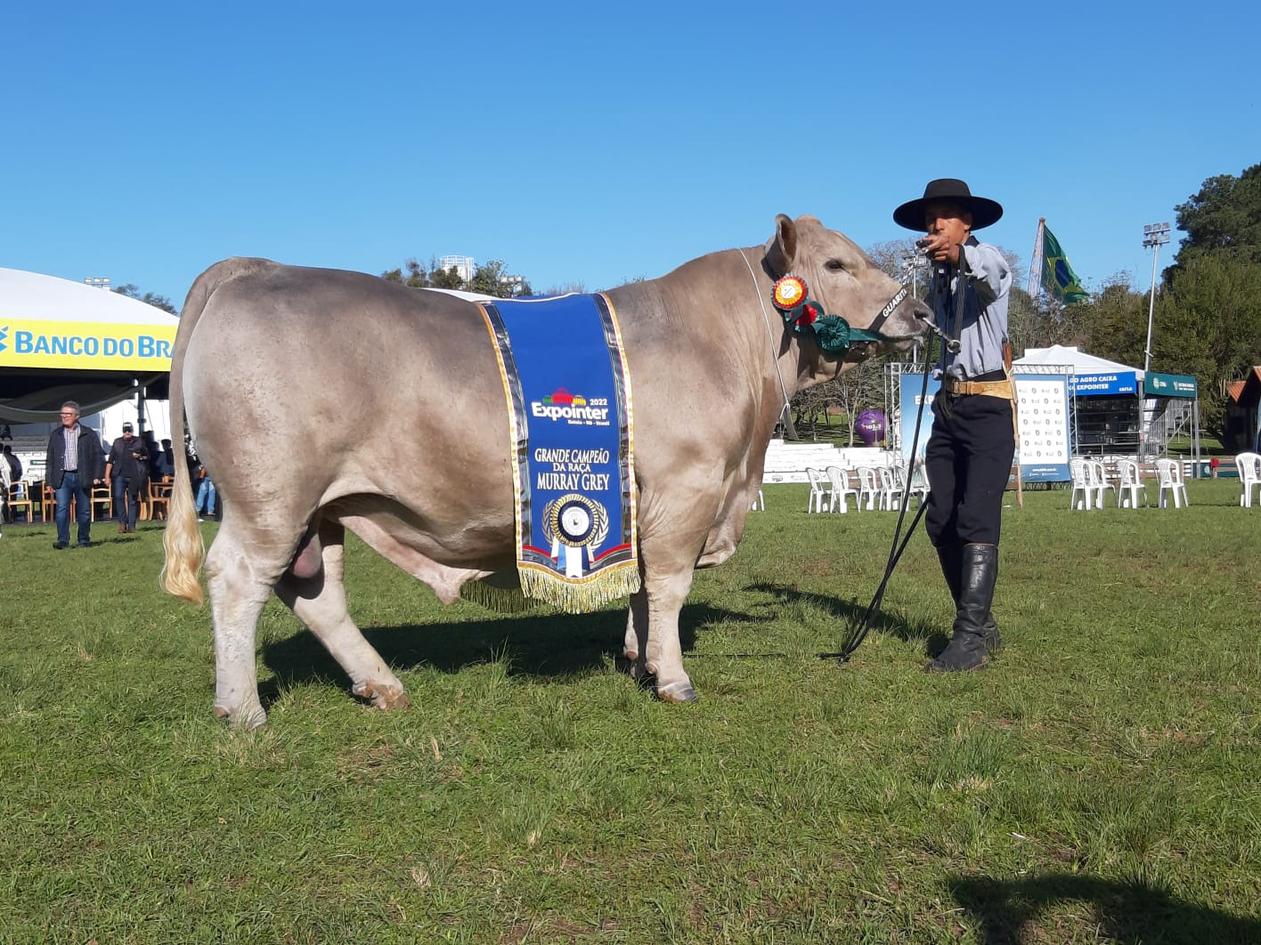 Grande Campeão da raça Murray Grey na Expointer é do Noroeste gaúcho