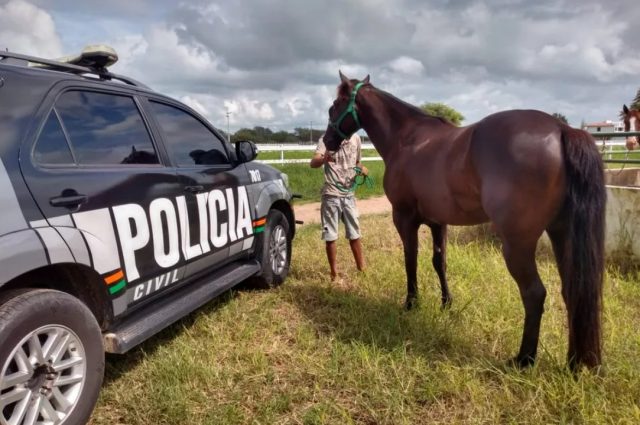 lavagem de cavalo