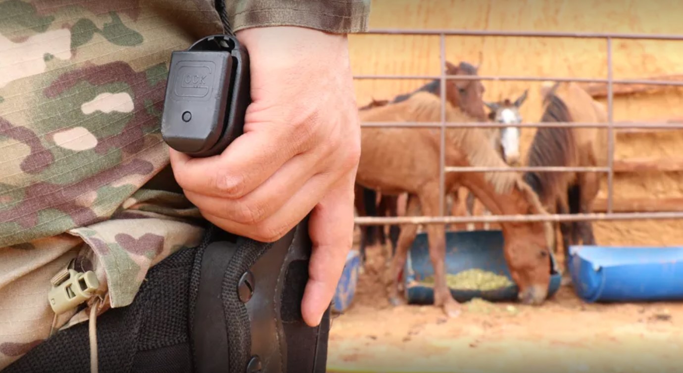 A Gazeta  Polícia fecha abatedouro ilegal que vendia até carne de cavalo  em Viana