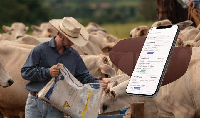 App congado faz gestão do gado de corte e tarefas diárias na fazenda