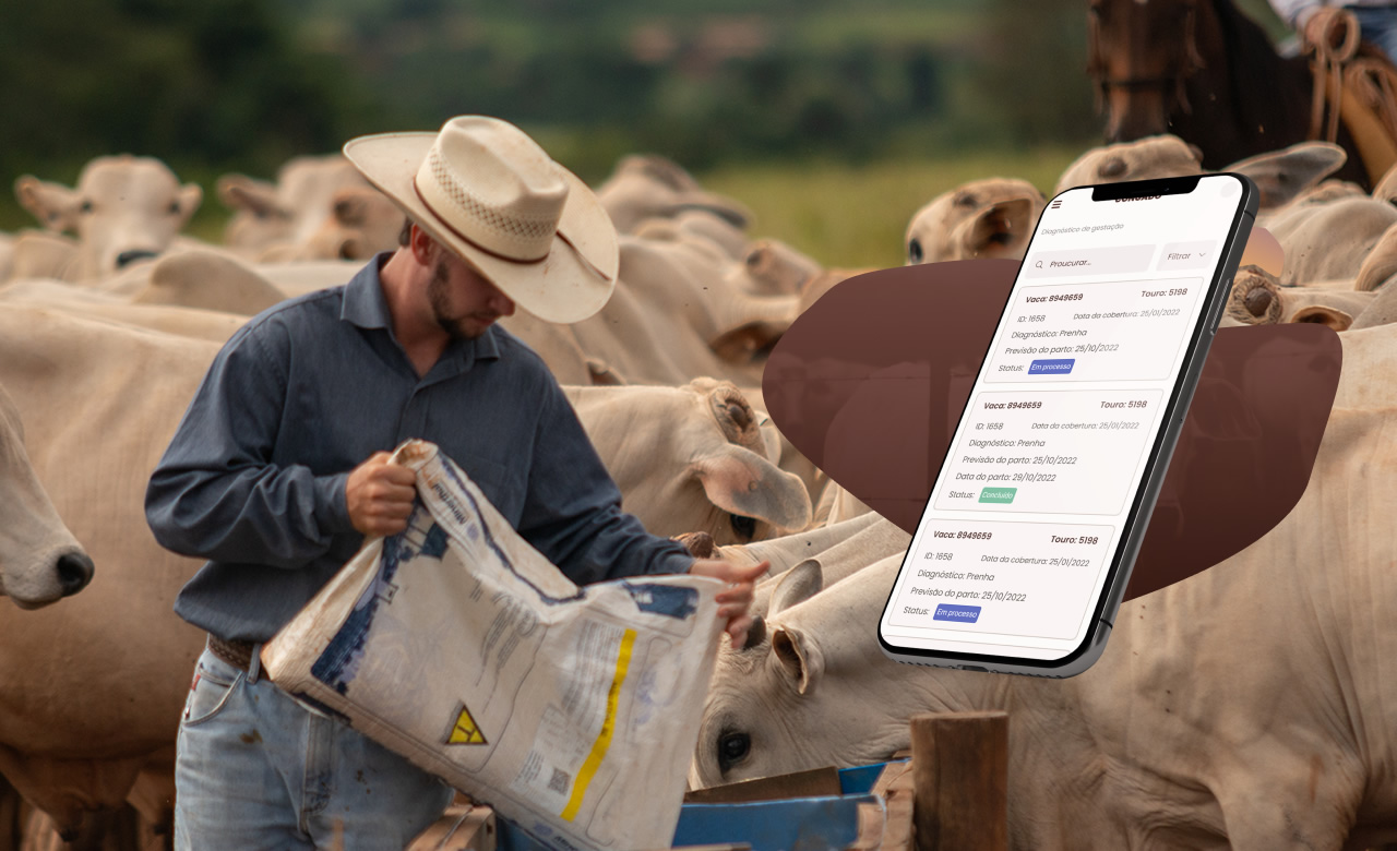 App congado faz gestão do gado de corte e tarefas diárias na fazenda