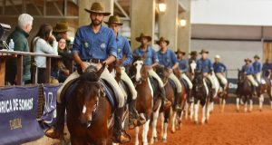 Exposição Regional do Cavalo Mangalarga deve receber o dobro de animais em Rio Preto (SP)