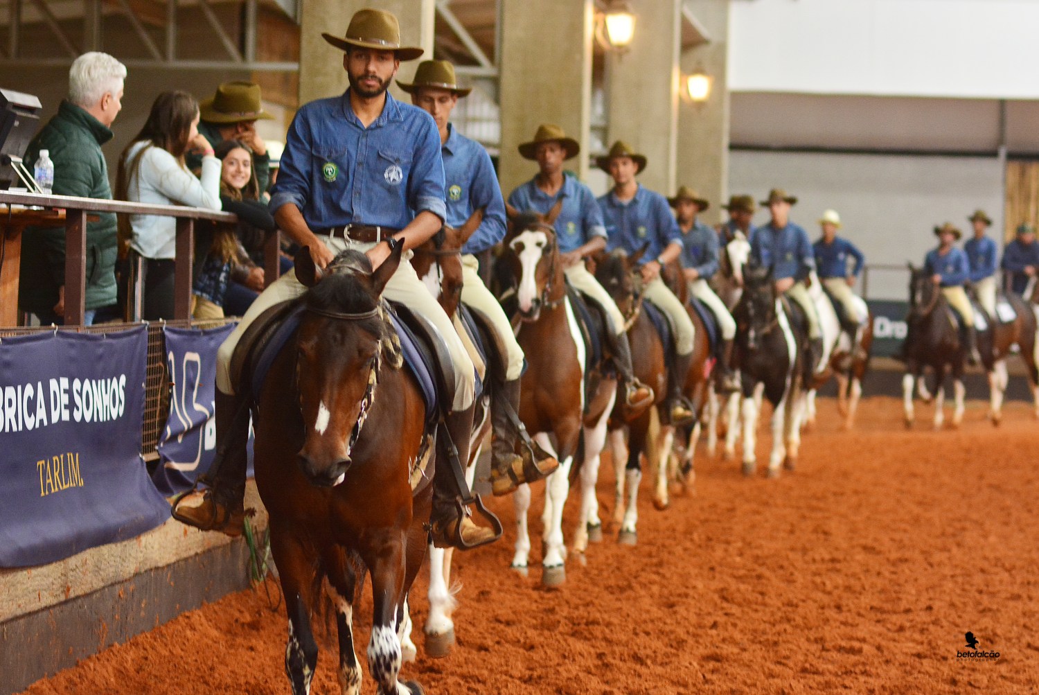 Exposição Regional do Cavalo Mangalarga deve receber o dobro de animais em Rio Preto (SP)