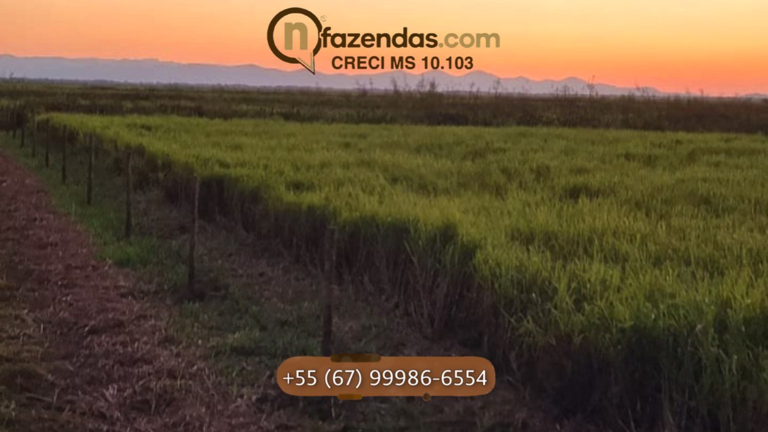 Fazenda de dupla aptidão esta a venda por 6,9 milhões
