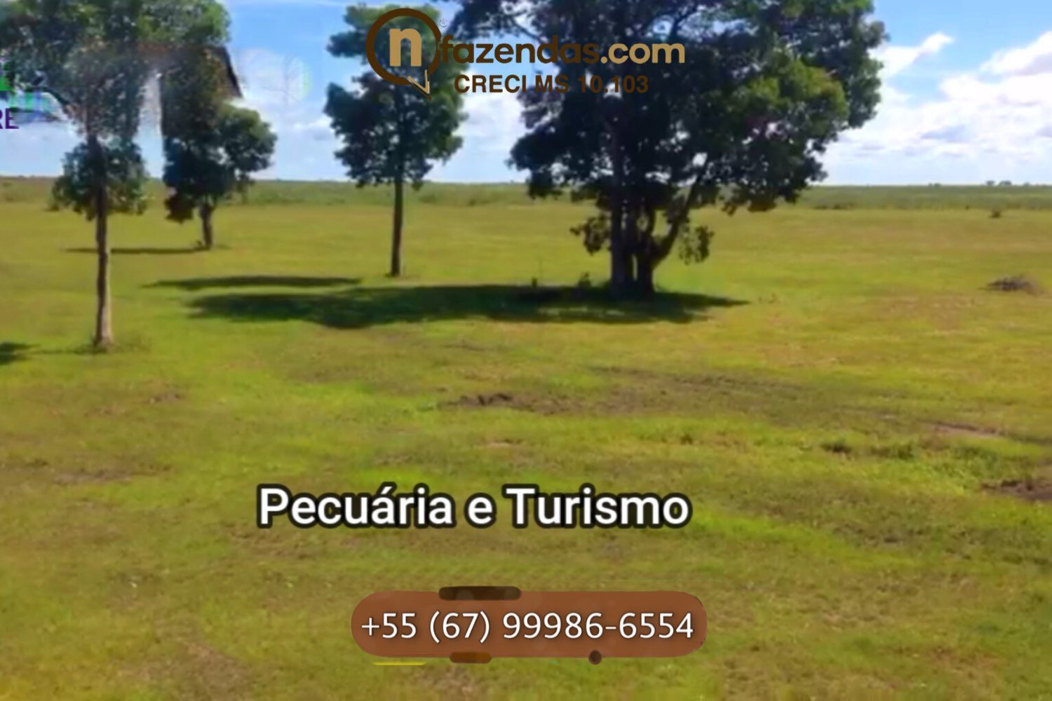 Fazenda de dupla aptidão esta a venda por 6,9 milhões