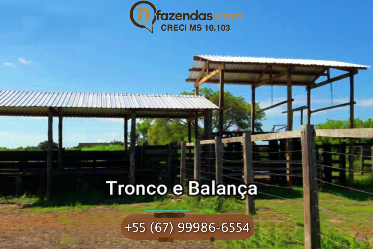 Fazenda de dupla aptidão esta a venda por 6,9 milhões