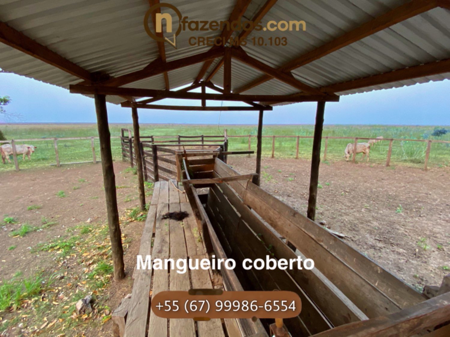 Fazenda de dupla aptidão esta a venda por 6,9 milhões