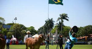 Jurado internacional PJ Budler atuando na 18ª ExpoBrahman