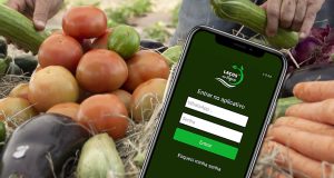 Startup conecta agricultores familiares e mercado comprador de alimentos