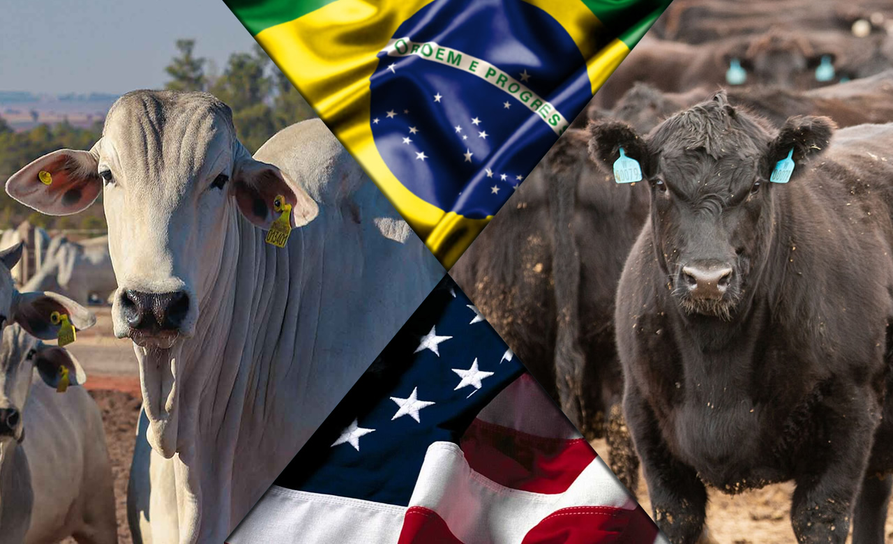 EUA x BRASIL - QUAL A DIFERENÇA? 