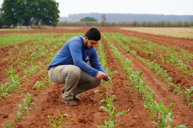 Artigo-Bioinsumos-mudam-o-olhar-no-campo Artigo-Bioinsumos-mudam-o-olhar-no-campo
