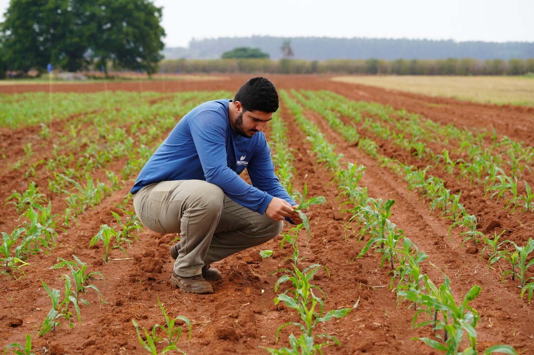 Artigo-Bioinsumos-mudam-o-olhar-no-campo