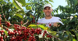 Produtores de café conhecerão o que é o Comércio Justo durante a SIC 2022