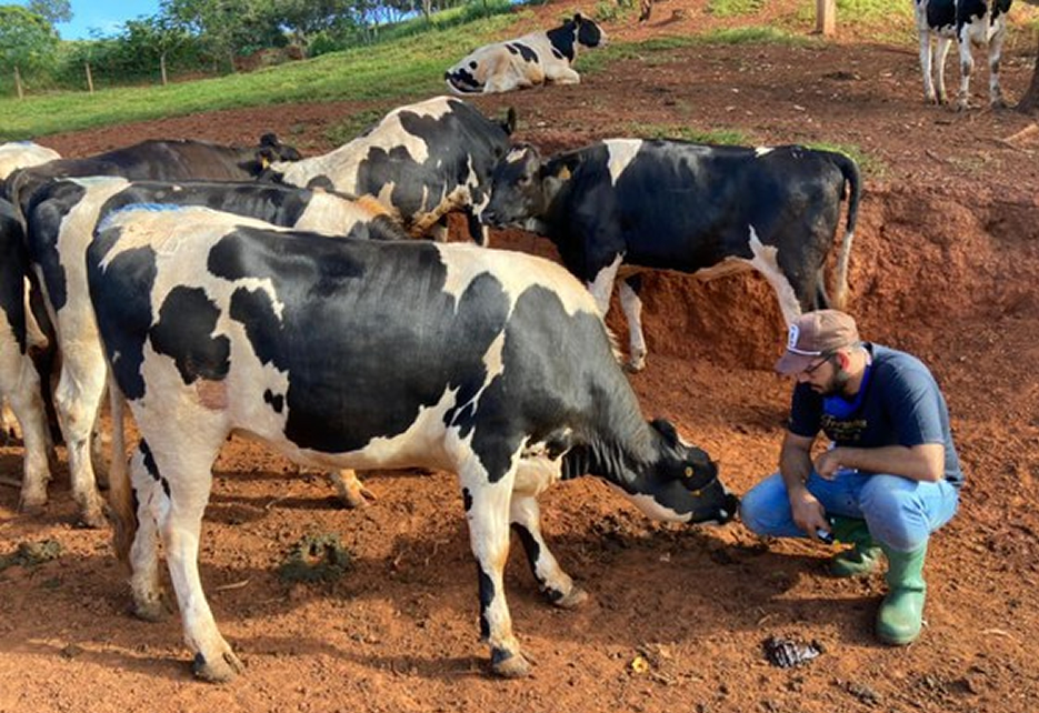 agroresidencia em parceria com o mec